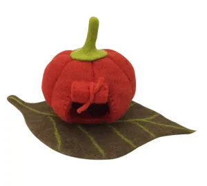 Fairy Pumpkin House