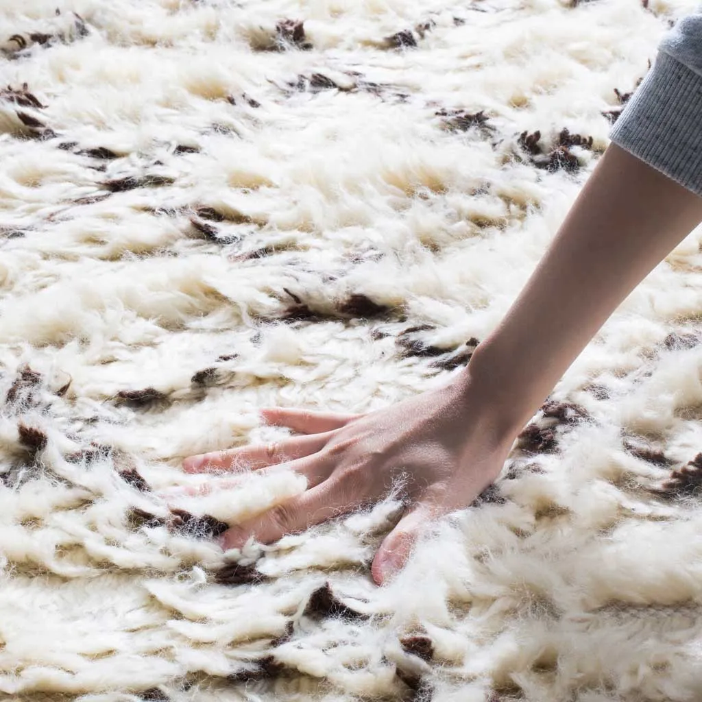 Kenya Diamond Ivory/Dark Brown Area Rug