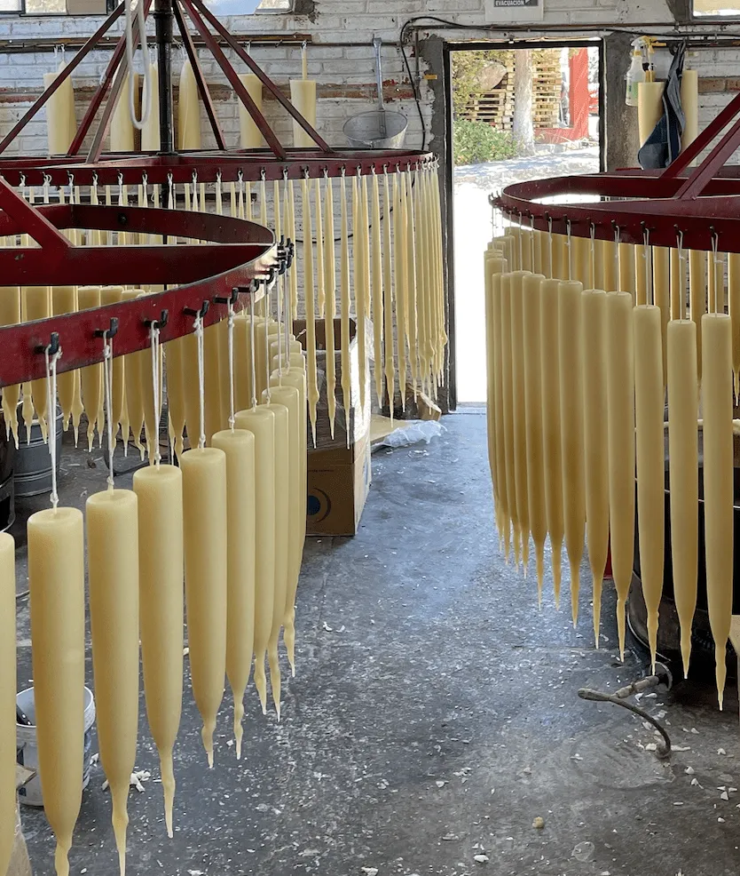 Santa Rosa Pillar Candles