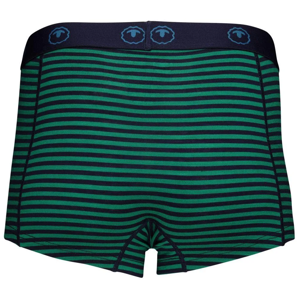 Womens Merino 180 Hipster Shorts (Mini Stripe Navy/Green)